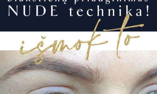 NUDE online seminaras blakstienų priauginimo meistrams